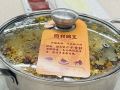 -百利鸽王(紫薇路店)