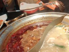 -熊喵来了火锅·牧场好肉(邯郸邯山万达店)