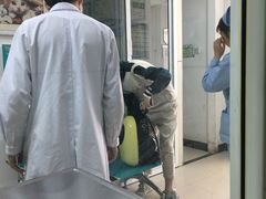 -康乐宝动物医院