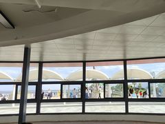-碧海金沙