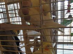 -潇湘·永州会馆(百子湾店)