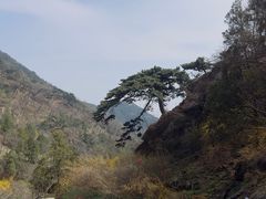 -泰山风景名胜区