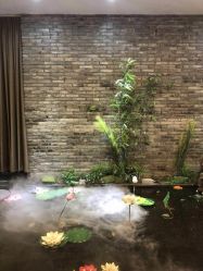 点击看大图 -盘子女人坊古装写真摄影(南京总店)