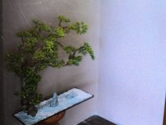 -端艾堂·SPA·艾灸(棕榈泉013店)