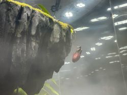 -Zoolung Zoolung动物主题公园(海信广场店)