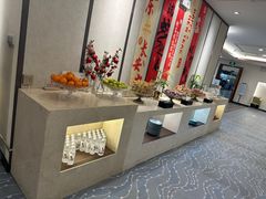-河北航空头等舱休息室