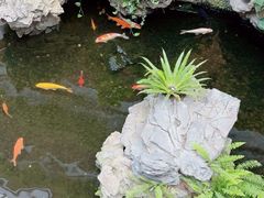 -广州白天鹅宾馆