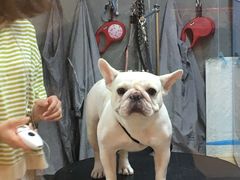 -悠尼宠物·独立低压伊珊娜洗护·美容·寄养(兰谷路店)