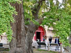 -北京石刻艺术博物馆(五塔寺)