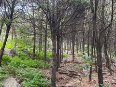 -云龙山