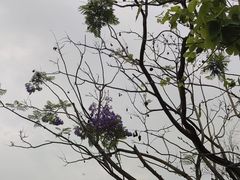 -南国桃园旅游度假区