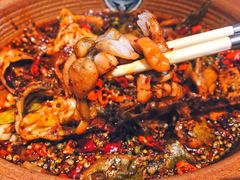 香辣美蛙-呱呱叫民俗风味主题餐厅(沣峪口店)