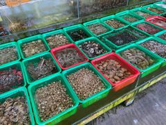 -红月湾海鲜饭店•沙滩海景(双月湾店)