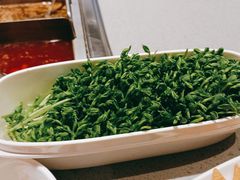 -海底捞火锅(新松江路店)