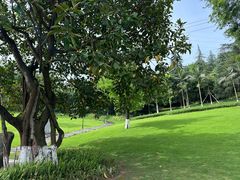 -龙头寺公园