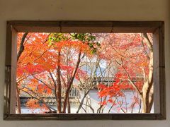 -秋霞圃