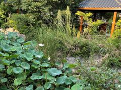 -郑州银基黄帝宫御温泉