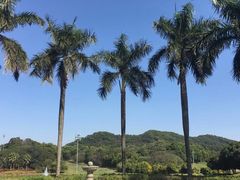 -麓湖高尔夫球俱乐部