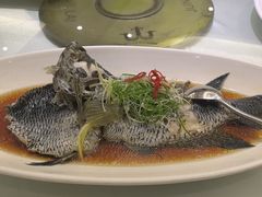 -骏莱海鲜鱼港(五角场店)