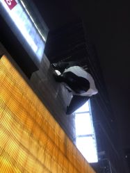 -美丽匯形象定制