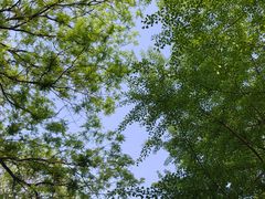 -玲珑塔公园