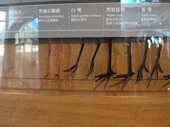 -漩门湾国家湿地公园