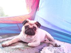 -蒲河岛湿地公园