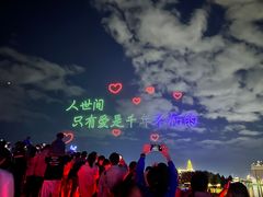 -荷兰花海