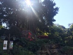 -乌山风景区
