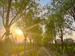 -永定河休闲森林公园