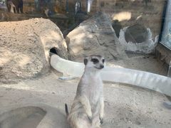 -洛阳龙门海洋馆