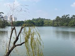 -西湖公园(鼓楼区)