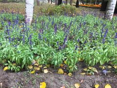 -中家鑫园温泉酒店鑫悦汤泉