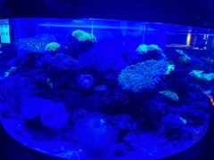 -上和臻品中国菜(花园街店)