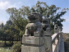 -同里国家湿地公园