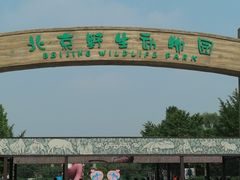 -北京野生动物园