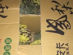 -菜园坝水果市场