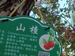 -盛世南宫影视城(北普陀影视城)