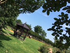 -武汉紫薇都市田园