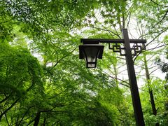 -柯岩风景区