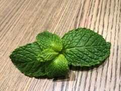 -gaga(深圳南山益田假日广场店)