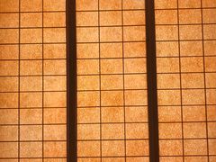-重庆南山海昌汤都