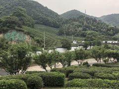 -余姚阳明温泉山庄