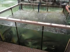 -东江湖游水三文鱼美食城