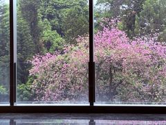 -广州越秀国际会议中心