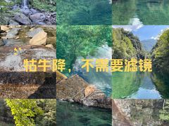-石台牯牛降景区