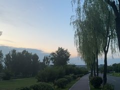 -洨河生态公园