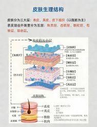 -SOS修丽可.痘肌修复中心
