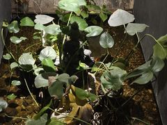 -邈墨茶馆(凤起路店)