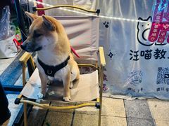 -龙湖重庆时代天街